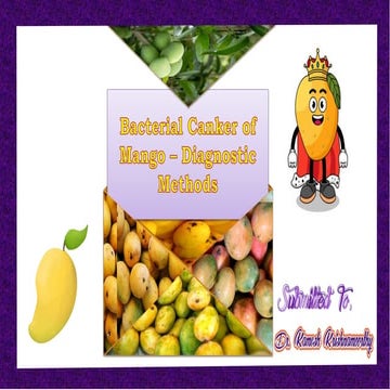 Bacterial Canker of Mango Diagnostic Methods.pptx