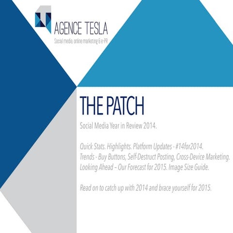 Social media: the best of 2014, and perspectives for 2015 - Social commerce, ...