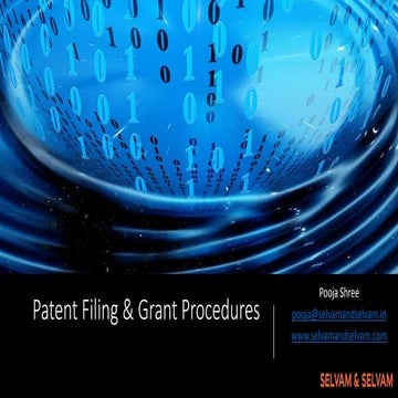 Patent Filing & Grant Procedures