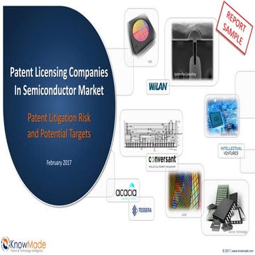 Patent Licensing Companies in the Semiconductor Market Sample