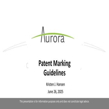 Patent Marking Guidelines: No Mark, No Money