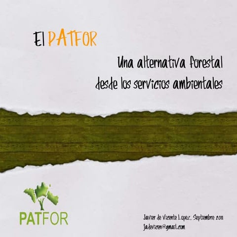 PATFOR: Un plan forestal desde los servicios ambientales