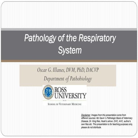 Path 1.1 respiratory illanes