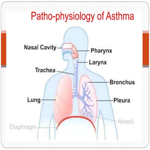 Pathophysiology of asthma | PPTX