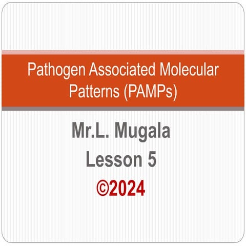 PATHOGEN ASSOCIATED MOLECULAR PATTERNS (PAMPs) - 2024 NOTES.pptx
