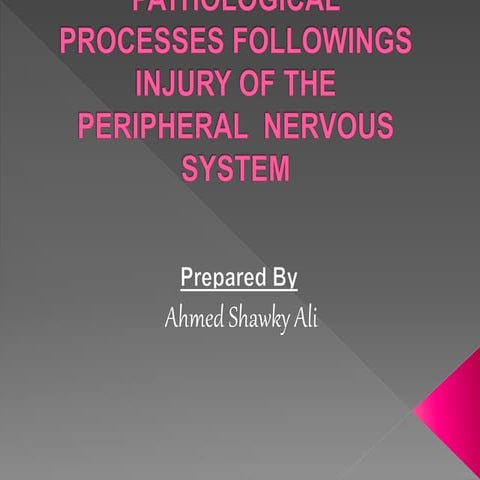 Pathological processes followings injury of peripheral nervous system