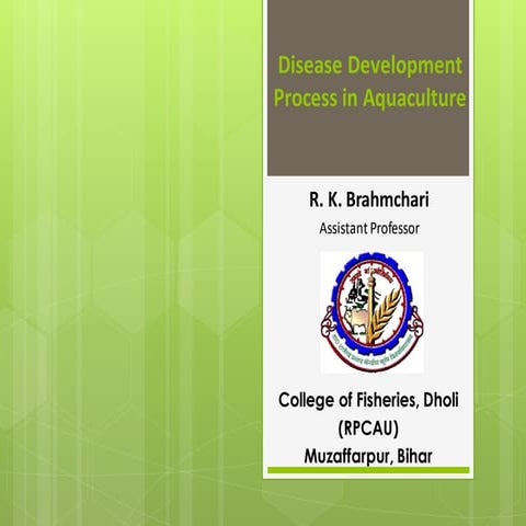 Pathological process of disease development process in fish