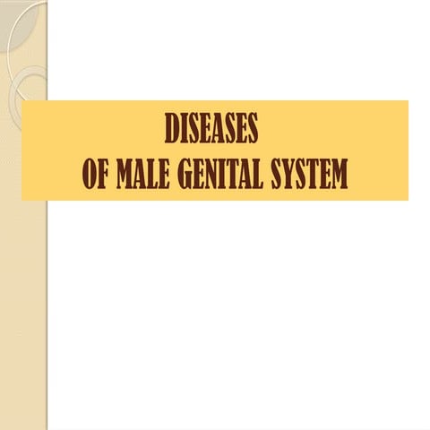 Pathology-OF-MALE-reproductive-system-pptx.pptx