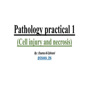 Pathology (cell injury and necrosis)