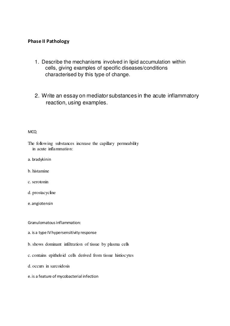 Global Warming Essay In English Exercise Essay Pathology Exercise Essay On Physical Fitness Physical Examples Of Persuasive Essays For High School also Persuasive Essay Topics High School Students Essays On Exercise Romefontanacountryinncom Essay Writing High School