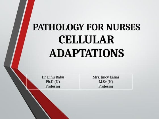 Pulmonary and systemic circulation | PPSX