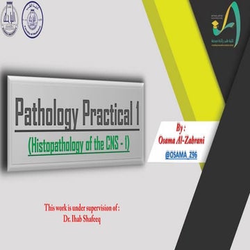 Pathology (histopathology of the cns)