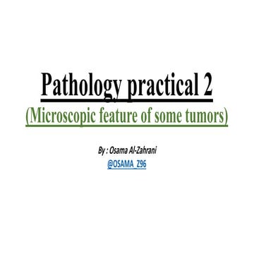 Pathology (microscopic feature of some tumors)