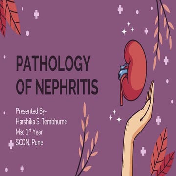 pathology of nephritis ppt.pptx
