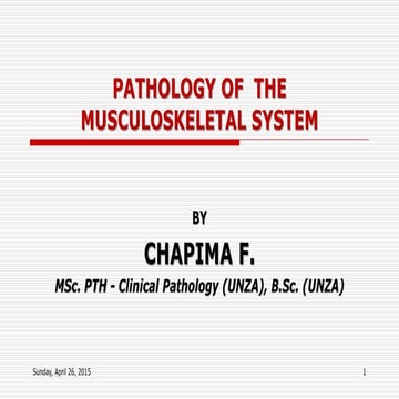 Pathology of  the musculoskeletal system 1