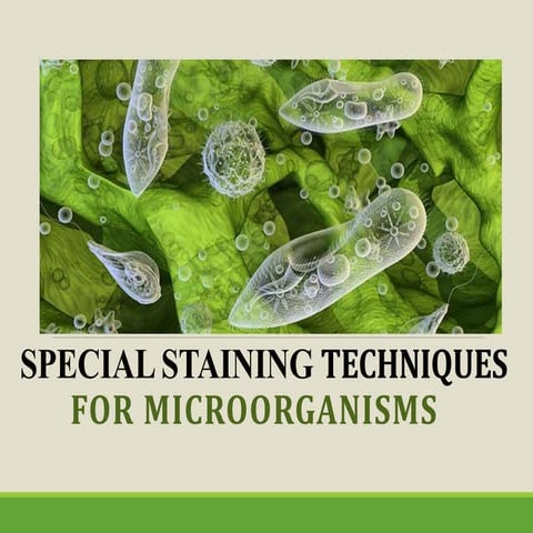 Special staining techniques for microorganisms