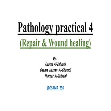 Pathology (repair and wound healing)