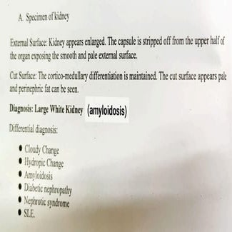 Pathology Specimens mbbs 2nd year pathology pdf | PDF