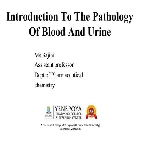Comprehensive Overview of Blood and Urine Pathology: Causes, Diagnosis & Clinical Insights