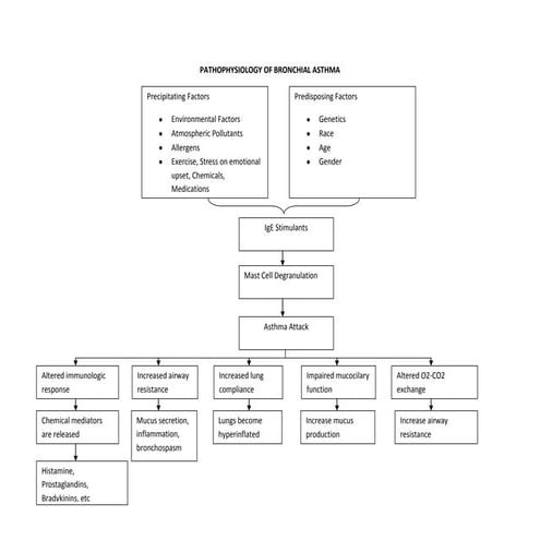 Pathophysiology of bronchial asthma