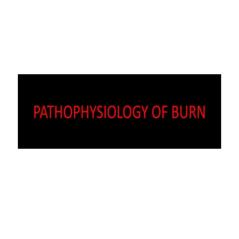 Pathophysiology of burns