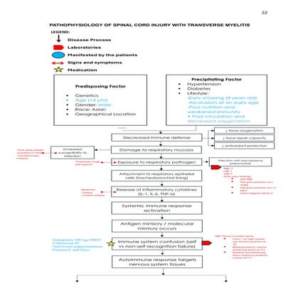 Comprehensive Pathophysiology and Management of Spinal Cord Injury with ...