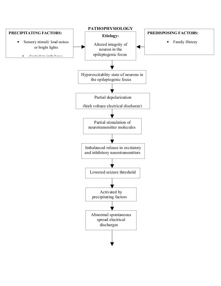 Pathophysiology Of Seizure Flow Chart