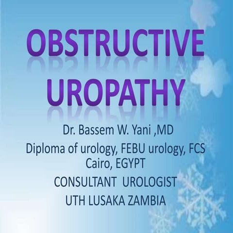 Pathophysioogy of urinary tract obstruction bassem presentation