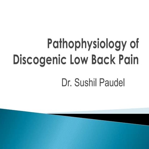 Pathophysiology  of low back pain
