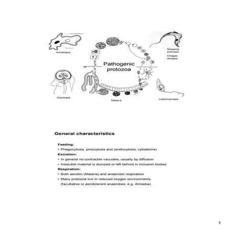 Pathoprotozoa