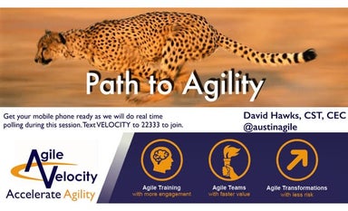 Path to Agility: Avoiding Common Pitfalls in Agile Adoption