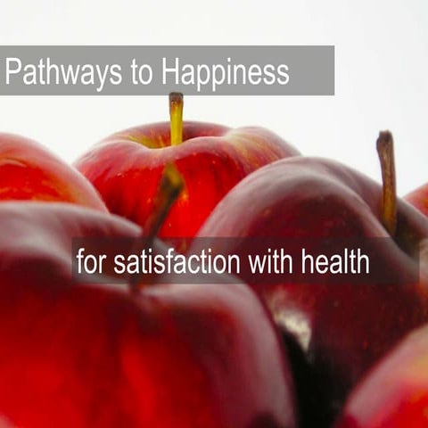 Pathways To Happiness for Satisfaction with Health - tools for governments 