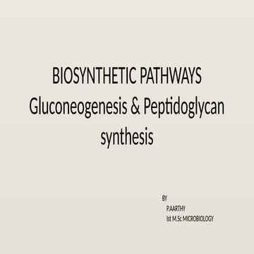 Biosynthetic pathway - Gluconeogenesis, Peptidoglycan synthesis