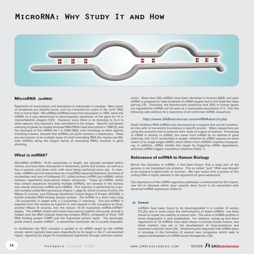 Pathways07 mi rna