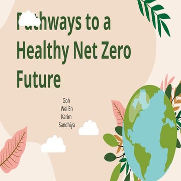 Health co benefits of climate change mitigation | PDF