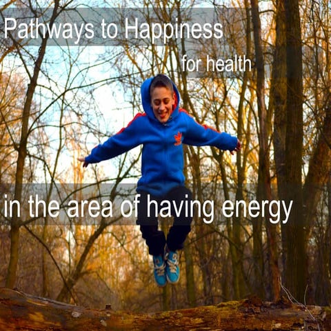 Pathways to happiness for satisfaction with our enegy level