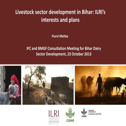 Livestock sector development in Bihar: ILRI’s interests and plans 