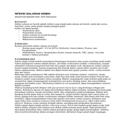terapi isk (Infeksi Saluran Kemih) .docx