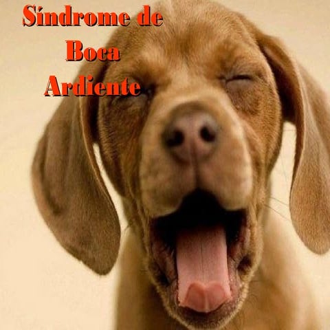Sindrome de la Boca Ardiente