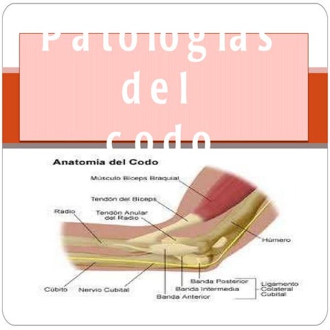 Patologías del codo 