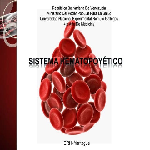 Patologia hemopoyetica