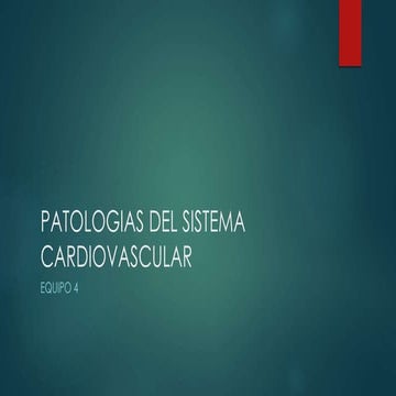 Patologias del sistema cardiovascular chucho