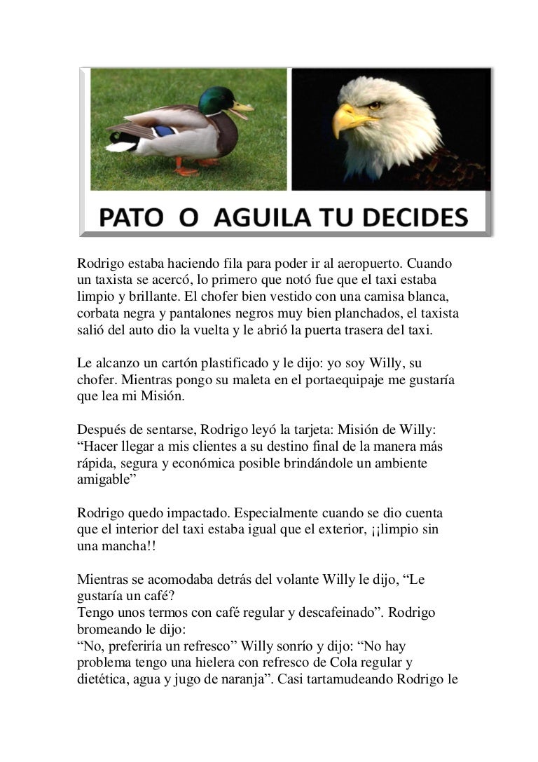 Pato O Aguila Tu Decides