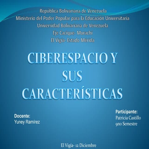 El Ciberespacio y sus características...