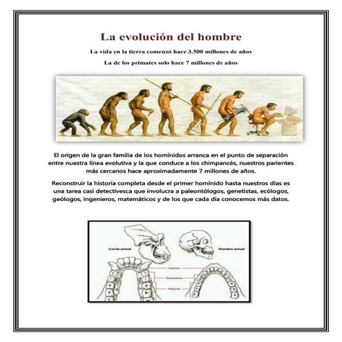 Linea el tiempo de la evolucion humana Nadia 505.pdf