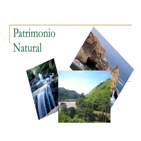 Patrimonio natural