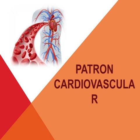 Patron cardiovascular