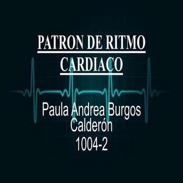 Patron del ritmo cardiaco | PDF
