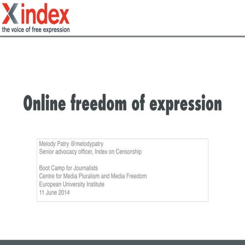 Online freedom of expression