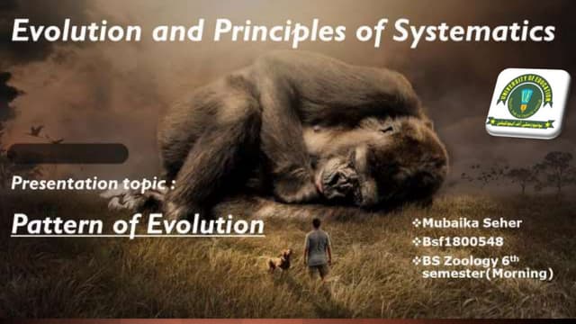 Pattern of evolution